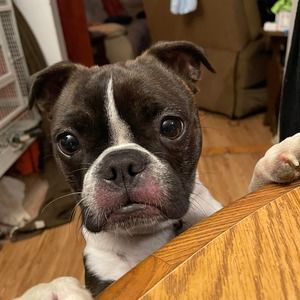 Meet your Posher, Amy